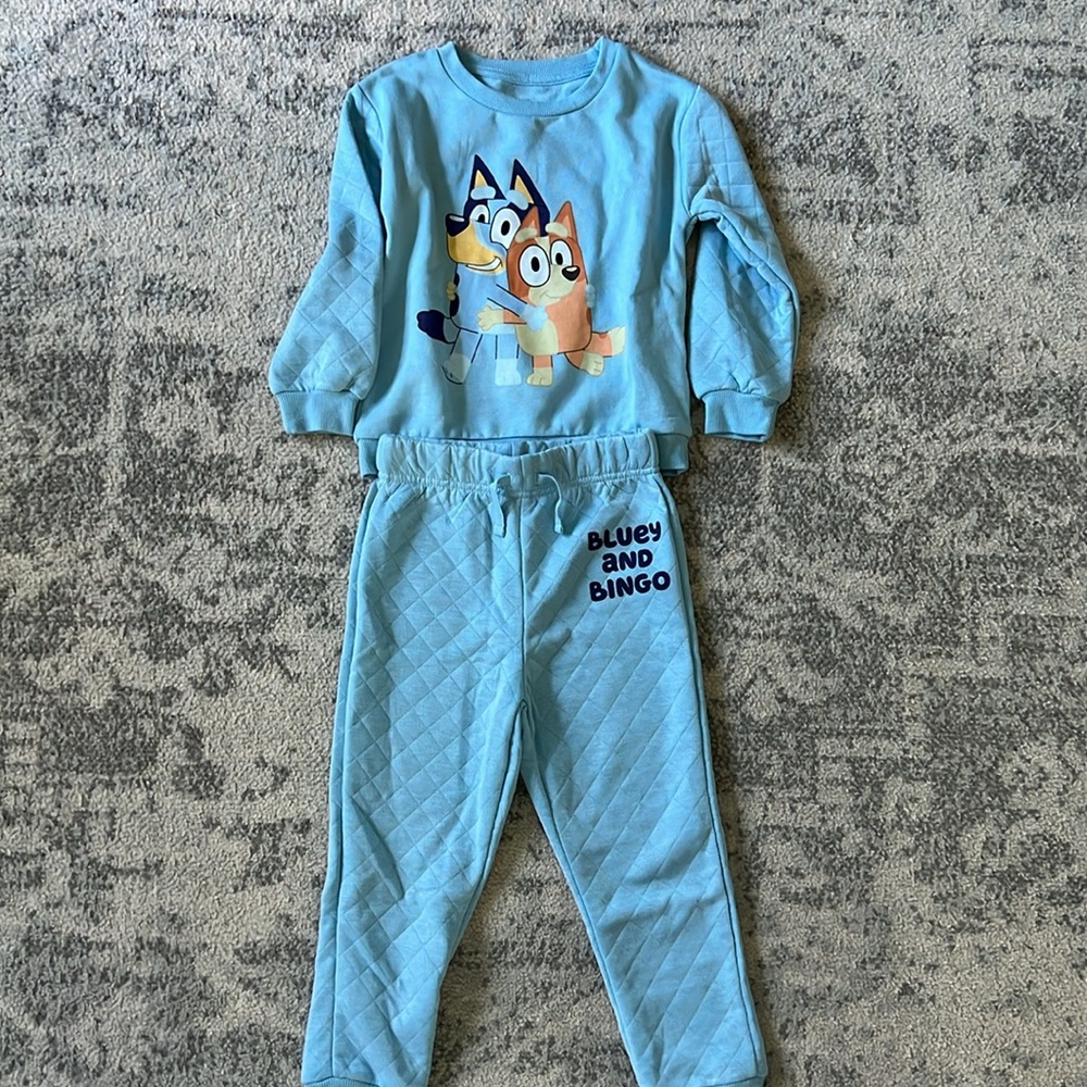 Bluey toddler set NWOT